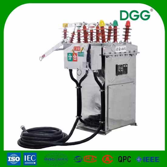 Lw3-12 Series Outdoor High Voltage Sf6 Circuit Breaker